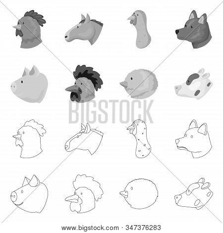 Vector Illustration Of Agriculture And Breeding Icon. Collection Of Agriculture And Organic Vector I