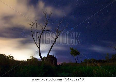 Night Landscape And Cloudy Starry Sky And Silhouette Of Dead Tree In Gedung Ubat,tanjung Kubong,labu