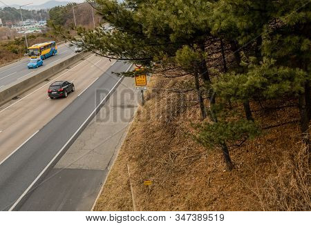 Lunar New Year Traffic