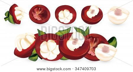Fresh Mangosteen Isolated On White Background. Mangosteen, Whole And A Half Of Fruit. 3d Realistic M