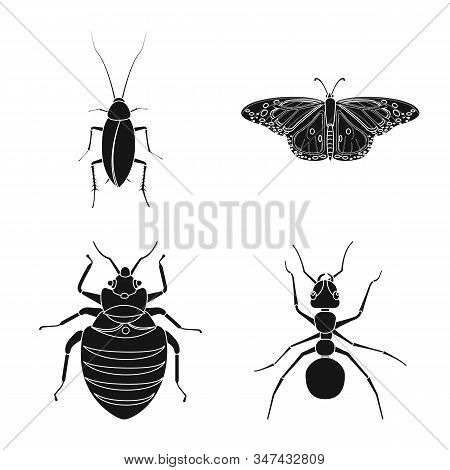 Vector Design Of Insect And Fly Icon. Set Of Insect And Element Stock Vector Illustration.