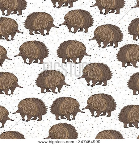 Vector Seamless Pattern With Cute Cartoon Echidna And Dots.