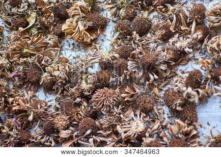 Dried Flowers Laid Out On A Table