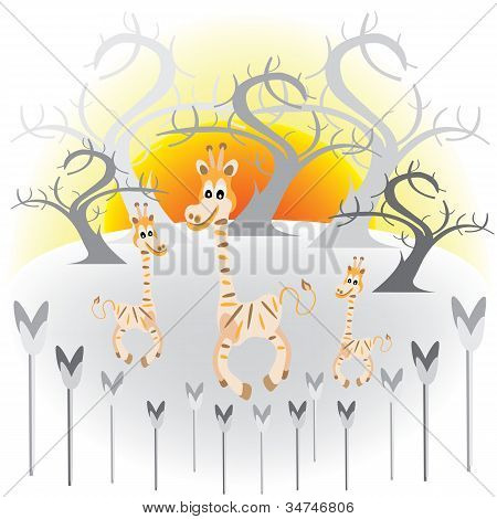 Giraffa