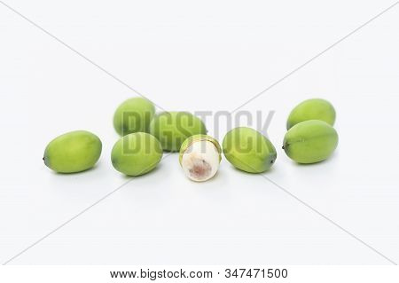 Lotus Seed Or Lotus Nut. The Traditional Chinese And Indian Medicine. Good For Healty And Can Eat Bo