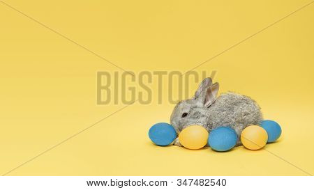 Egg Hunt Is Coming. Adorable Easter Bunny Near By Painted Eggs Isolated On Yellow Studio Background,