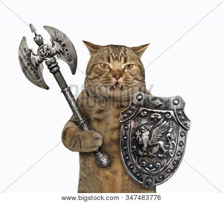 The Beige Cat Viking Is Armed With A Shield With A Dragon And A Double Headed Battle Axe. White Back