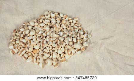 Job's Tears, Also Known As Adlay And Coix On Calico Background. Popular In Asian Cultures As A Food 