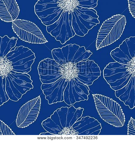 Seamless Pattern With Outline Wild Roses On The Blue Background. Endless Blue End White Texture With