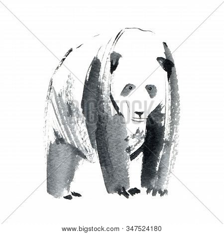 Panda Animal. Watercolor Hand Drawn Illustration.white Background.
