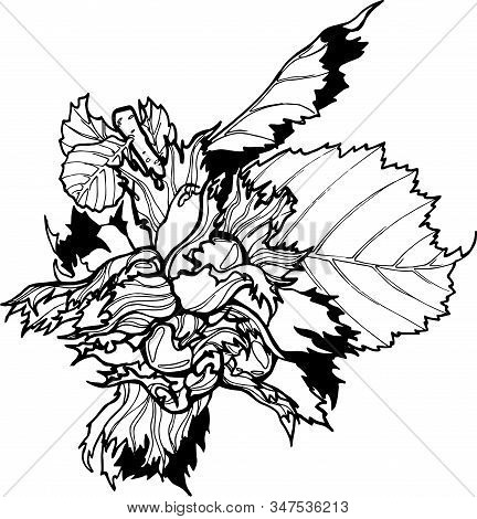 Hazelnut, Filbert Branch With Leaves Vector Handdraw