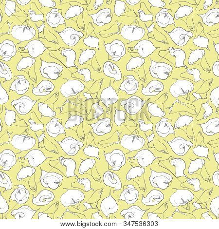 Elegant Seamless Pattern With Calla Flowers. Floral Pattern For Invitations, Cards, Print, Gift Wrap