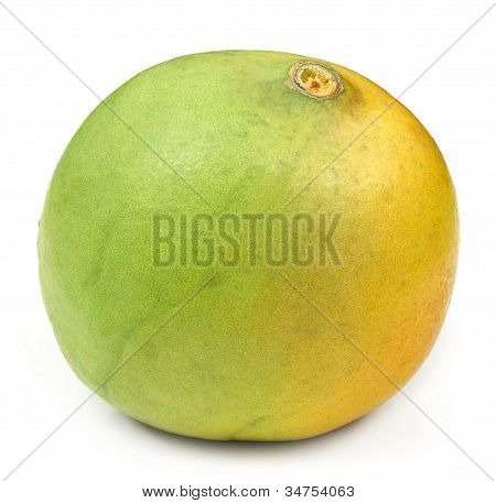 Medizinische Bael Frucht