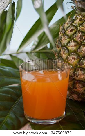 Glass Of Tropical Exotic Multifruit Juice On A Palm Leaves With Pineapple Nearby.