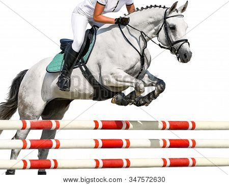 Girl Jumping With White Horse, Isolated Background. Equestrian Sports. Rider In Uniform Going To Jum