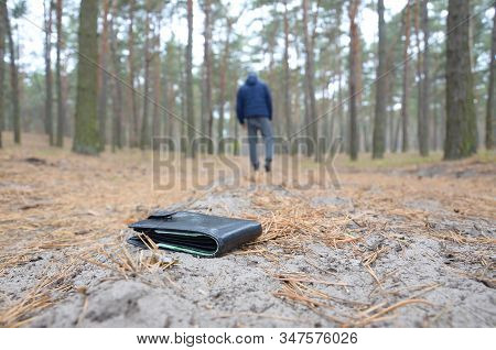 Young Man Loses His Purse With Euro Money Bills On Russian Autumn Fir Wood Path. Carelessness And Lo