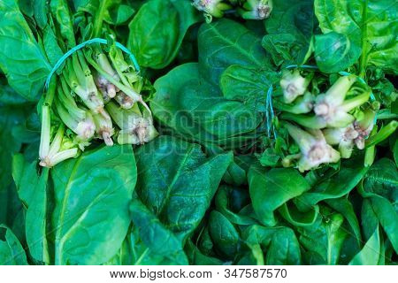 Close-up Fresh Casting Spinach Zi By The Counter Of A Store. Healthy And Natural Vegetarian Food. Vi