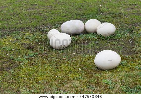 Old Fossil Stone Eggs With Cracks Isolated On A Green Meadow