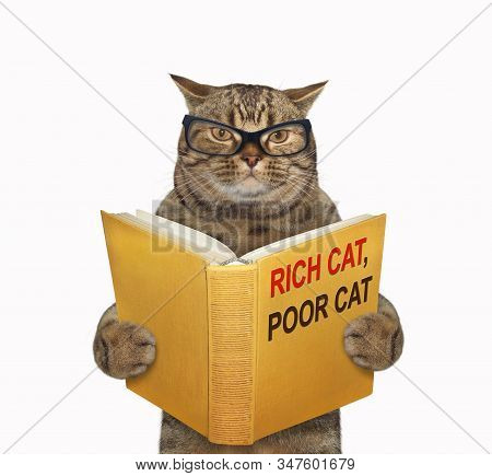 The Beige Tomcat In Glasses Is Reading A Book Called Rich Cat, Poor Cat. White Background. Isolated.