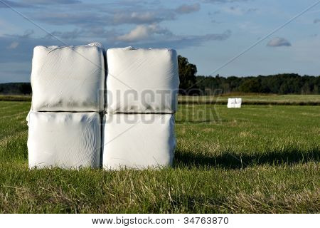 Hooibalen In Plastic
