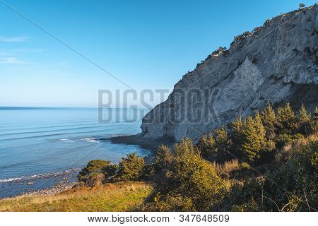 Skull On The Stones On The Coast From Deba To Zumaia. Basque Country