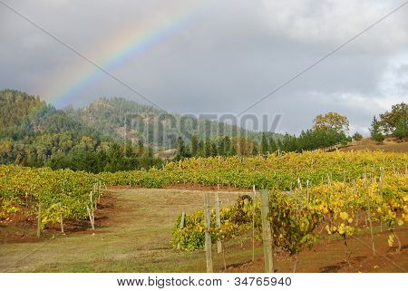 Uvas de otoñales