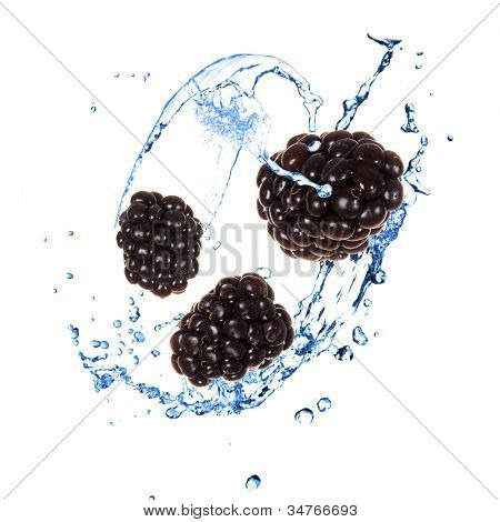 Blackberies con acqua spruzzata sopra bianco