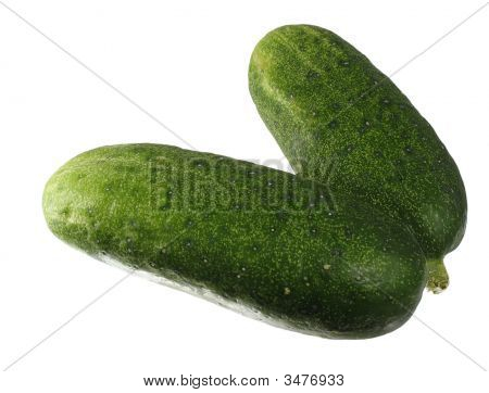Inosculated Cucumbers. Isolated