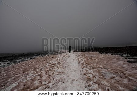 Rear View Man Walking On The Snowy Dirty Path Looking Down Climbing On The Mountain