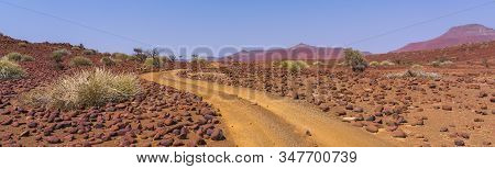 Scenic View Of The Palmwag Concession Area With Milkbushes In Namibia In Africa.