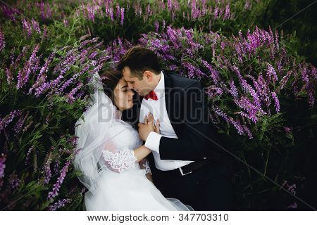 Couple At Sunset In A Wedding Dress Lie On The Grass With Lipin Flowers,festive Spring Wedding Photo