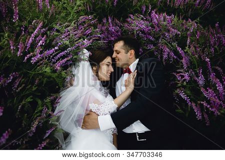 Couple At Sunset In A Wedding Dress Lie On The Grass With Lipin Flowers,festive Spring Wedding Photo