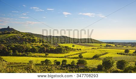 Bolgheri And Castagneto Carducci Vineyard Aerial View At Sunset. Maremma Tuscany, Italy, Europe.
