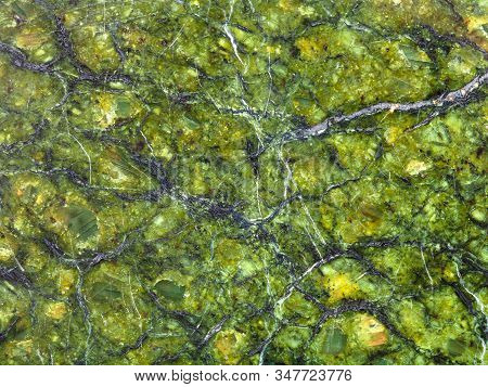 Texture Of Polished Natural Serpentinite Rock Close Up