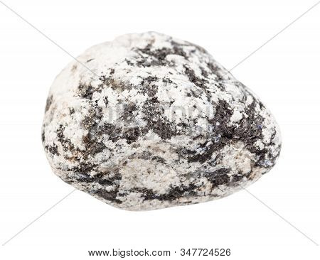 Closeup Of Sample Of Natural Mineral From Geological Collection - Pebble Of Diorite Rock Isolated On