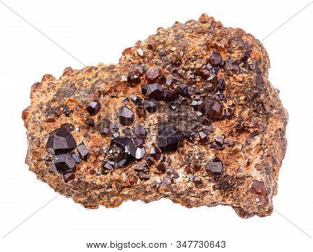 Closeup Of Sample Of Natural Mineral From Geological Collection - Druse Of Andradite Garnet Crystals