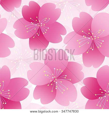 Sakura Flower Seamless Pattern Element. Texture For Backgrounds. Romantic Pink Flower. Spring Flower