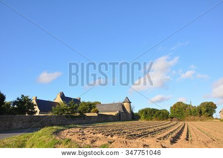 Discovery Of The Coasts Of Brittany, Talbert Furrow
