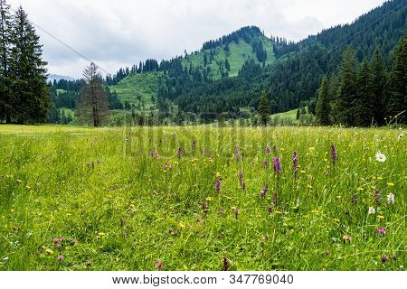 Landscape Around Bad Hindelang In Bavaria, Germany