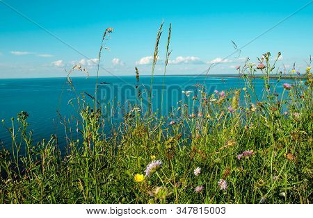 Beautiful Landscape Scenery Cliff Meadow, Water And Blue Sky. Cape Andoma, Karelia, Russia. Natural 