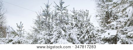Blue Sky With Snow Field. Great Background With Copyspace. Winter And Snow Landscape. Stock Photo.