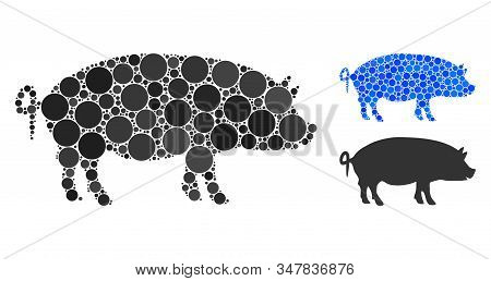 Swine Composition Of Filled Circles In Variable Sizes And Color Hues, Based On Swine Icon. Vector Fi
