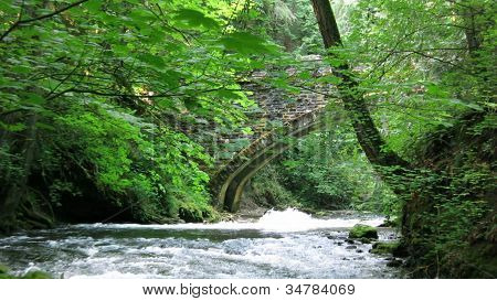 Ponte Whatcom Falls Park