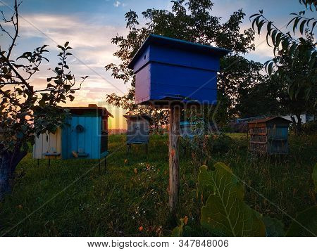 Traditional Mobile Honey Farm Apiary Sunset Nature Leaves Garden Field