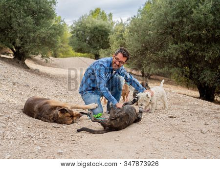 Professional Dog Walker Having Fun And Caring For His Customers A Pack Of Cute Dogs