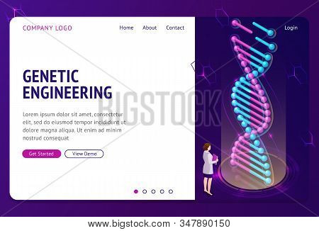 Genetic Engineering Isometric Landing Page, Woman Scientist In White Robe With Folder Stand Near Hug
