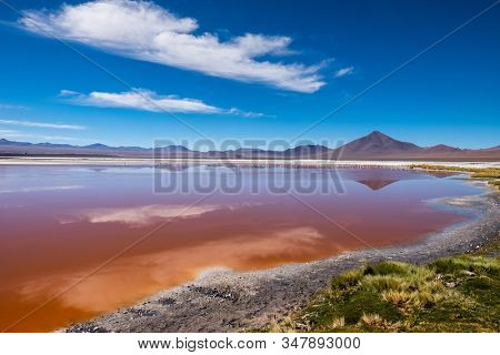 Salty lake with orange water (color as is, natural, without any color correction) named Laguna Colorada in Bolivian Altiplano, Bolivia