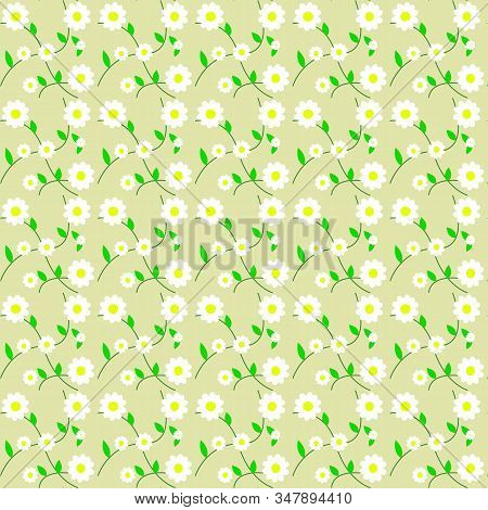 The Green Background With A White Daisies
