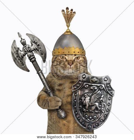 The Beige Cat Viking In A Helmet With Feathers Is Armed With A Shield With A Dragon And A Double Hea