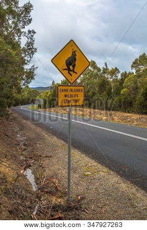 Tasmania, Australia - January 5, 2015: Warning Sign For Kangaroo Crossing On Austalian Country Road 